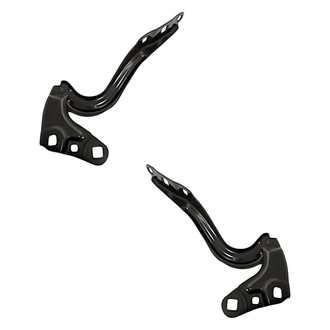 Replacement® - Hood Hinge