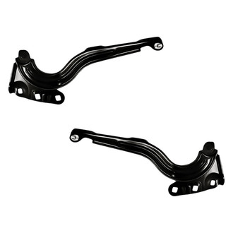 Replacement® - Hood Hinge