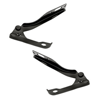 Replacement® - Hood Hinge