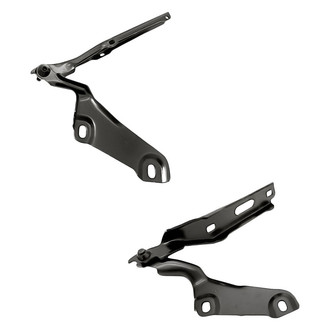 Replacement - Driver and Passenger Side Hood Hinge Set (Standard Line)