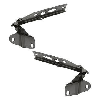 Replacement - Driver and Passenger Side Hood Hinge Set (Standard Line)