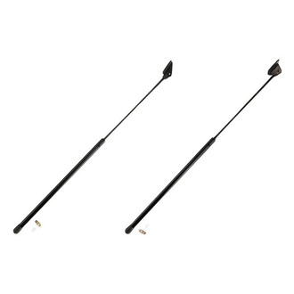 Replacement - Liftgate Lift Support
