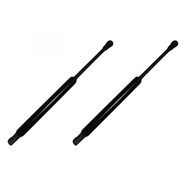 Replacement - Hood Lift Support Set