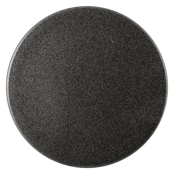 Replikaz® - Gray Wheel Center Cap