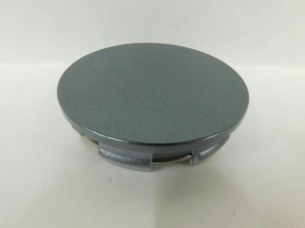 Replikaz® - Silver Wheel Center Cap