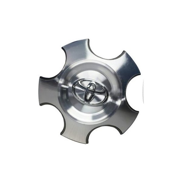 Replikaz® - Painted Silver Wheel Center Cap