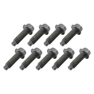 RESTOPARTS® - Door Hinge Bolt Set