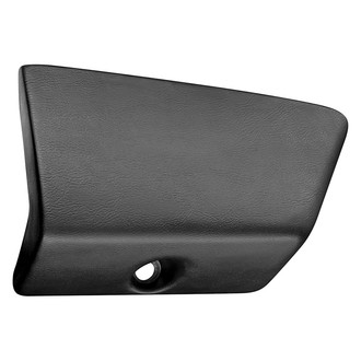 RESTOPARTS® - Glove Box Door