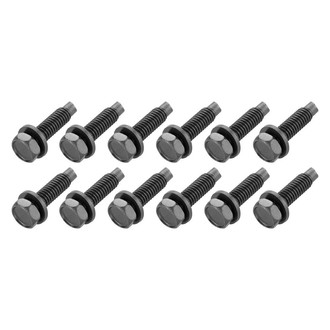 RESTOPARTS® - Door Hinge Bolt Set