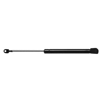 RhinoPac® - StrongArm™ Hood Lift Support