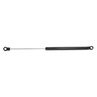 RhinoPac® - StrongArm™ Hood Lift Support