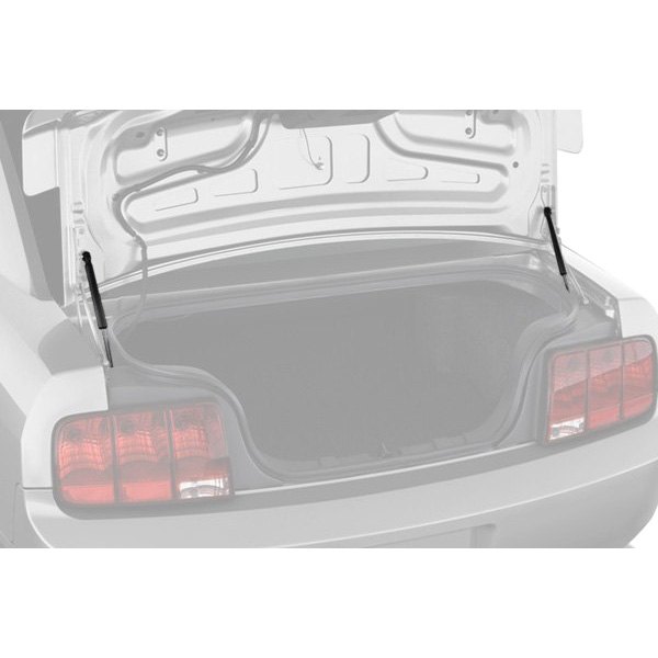  RhinoPac® - StrongArm™ Trunk Lid Lift Support
