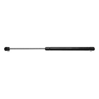 RhinoPac® - StrongArm™ Back Glass Lift Support