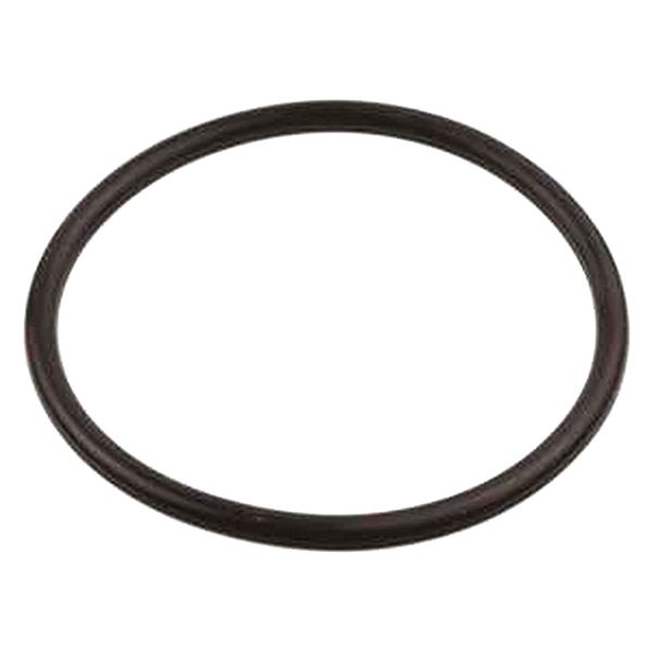 RHP® - Fuel Filter Replacement O-ring for 4151 Series Filters
