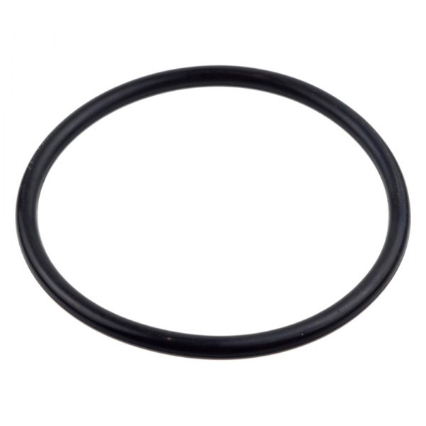 RHP® - Fuel Filter Element O-Ring