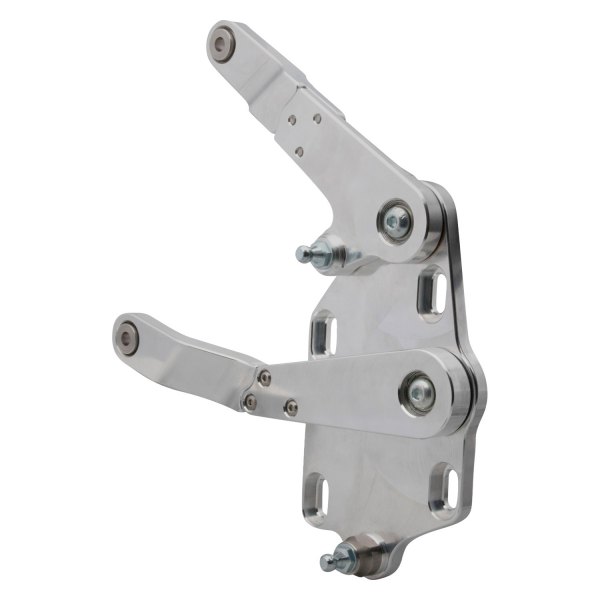 Ringbrothers® 109351536 NF Hood Hinge Kit