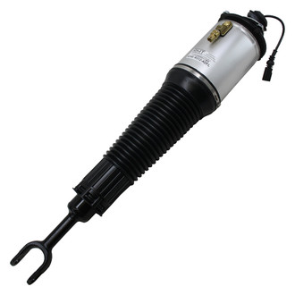 RMT® - Air Strut Assembly