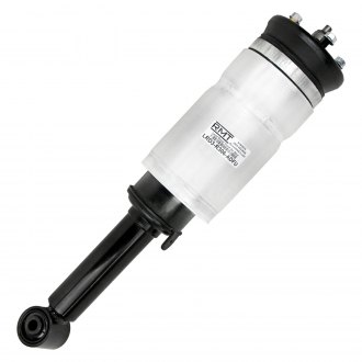 RMT® - Air Strut Assembly