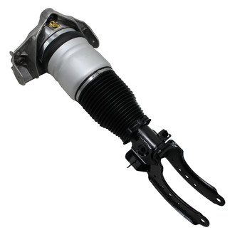 RMT® - Air Strut Assembly