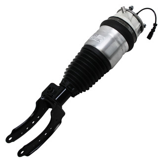 RMT® - Air Strut Assembly