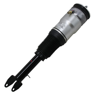 RMT® - Air Strut Assembly