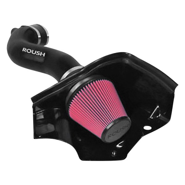 ROUSH Performance® 402099 Plastic Black Cold Air Intake System with