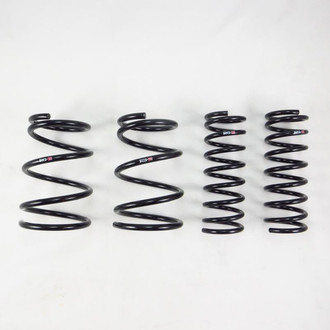 RS-R® - Down™ Lowering Spring Kit
