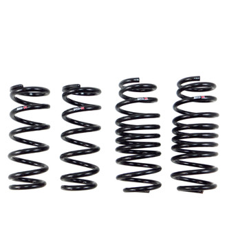 RS-R® - Down™ Lowering Spring Kit