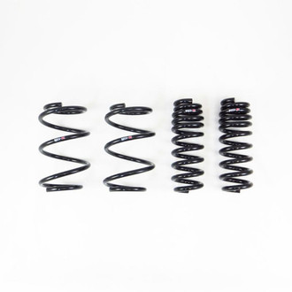 RS-R® - Down™ Lowering Spring Kit