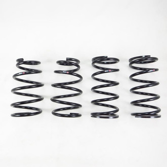 RS-R® - Down™ Lowering Spring Kit