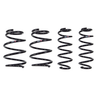 RS-R® - Down™ Lowering Spring Kit