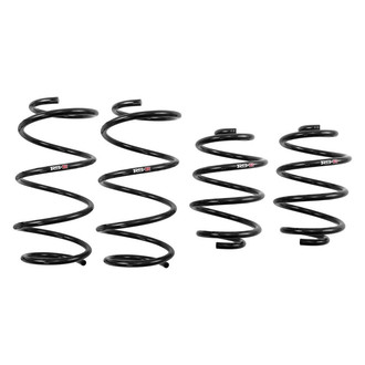 RS-R® - Down™ Lowering Spring Kit