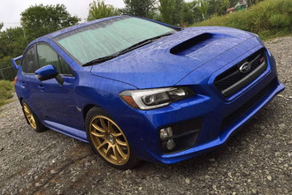 Stag Gold on Subaru
