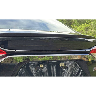 SAA® - Polished License Plate Bar Trim
