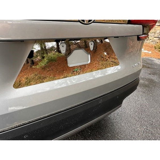 SAA® - Polished License Plate Trim