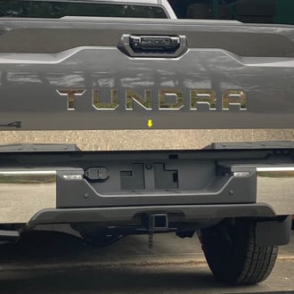 SAA® - Polished Tailgate Trim