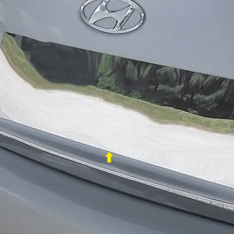 SAA® - Polished License Plate Trim