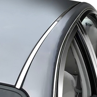 SAA® - Polished Roof Insert Trim