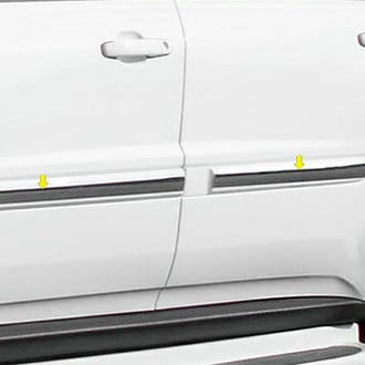 SAA® - I-Type Polished Body Side Moldings