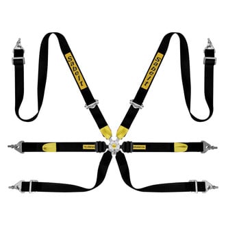 Sabelt® - Enduro Silver™ Full 2" Seat Belts, Black