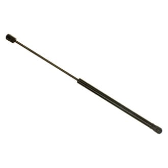 Sachs® - Back Glass Lift Support