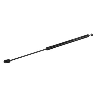 Sachs® - Back Glass Lift Support