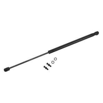 Sachs® - Back Glass Lift Support