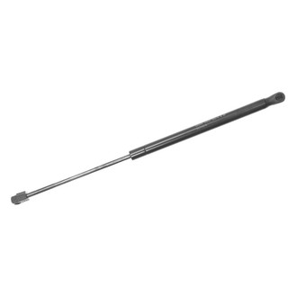 Sachs® - Back Glass Lift Support
