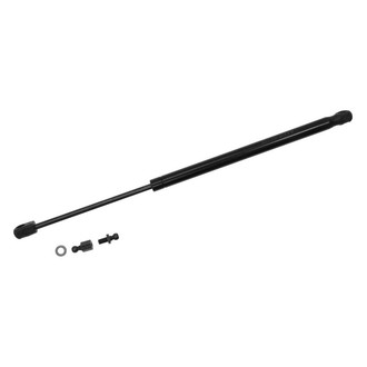 Sachs® - Back Glass Lift Support