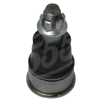 51L-S5hqB4L._UF894,1000_QL80_.jpg