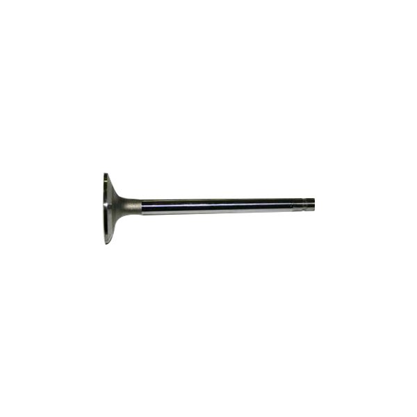 SBI® 01415S Intake Valve