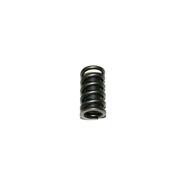 SBI® - Intake/Exhaust Engine Valve Spring