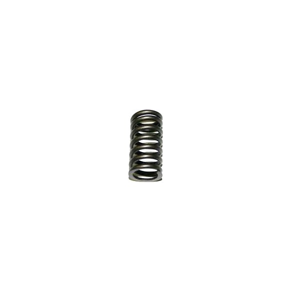 SBI® - Intake/Exhaust Engine Valve Spring