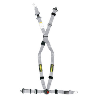 Schroth® - QuickFit Pro™ Passenger Side Harness Set, Silver